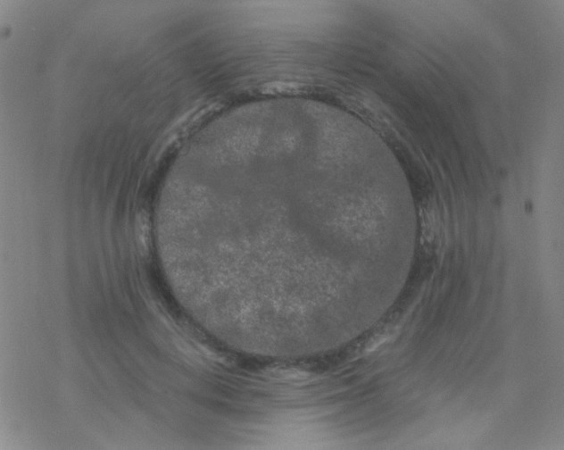 X0000076450648200610271825