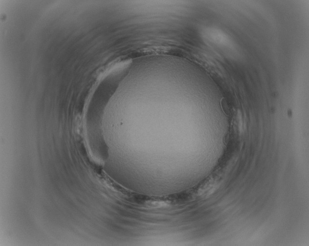 X0000076450649200610271825