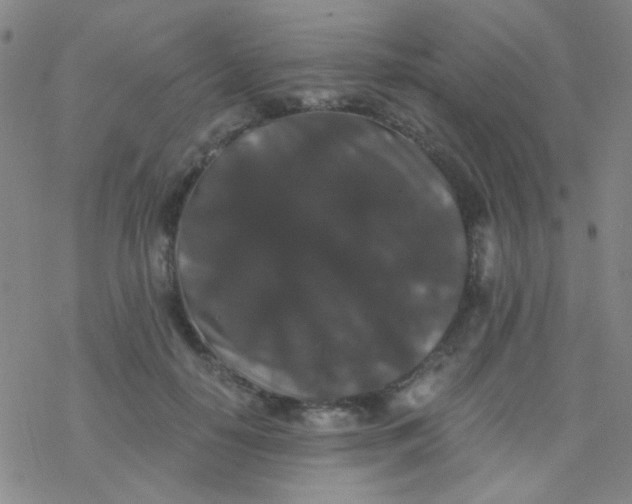 X0000076450650200610271825