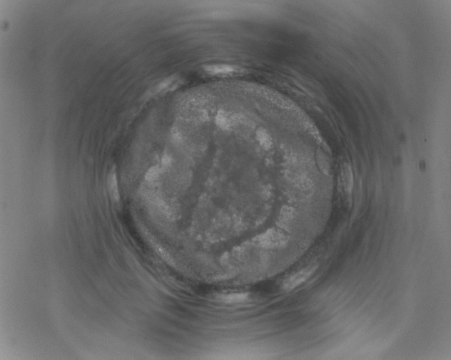 X0000076450651200610271825