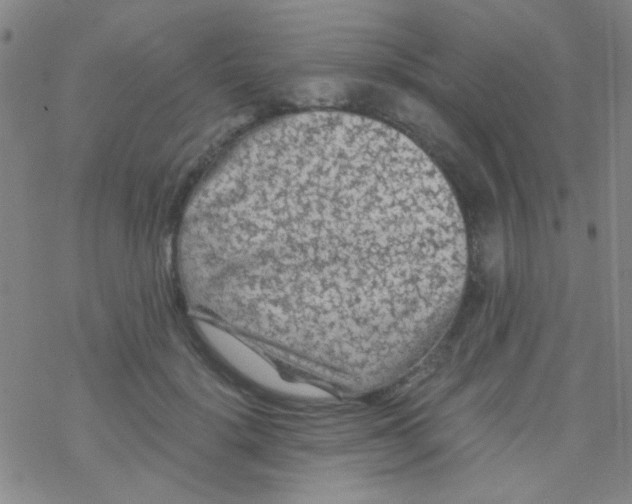 X0000076450652200610271825