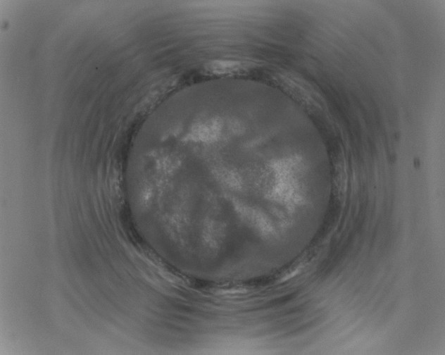 X0000076450653200610271825