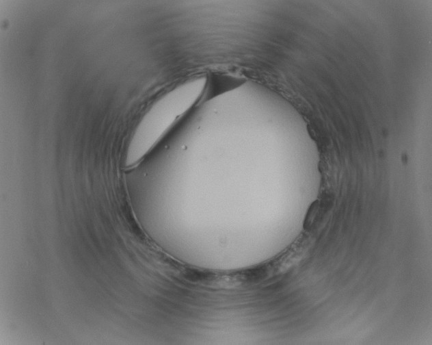 X0000076450656200610271825