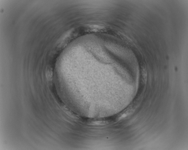 X0000076450657200610271825