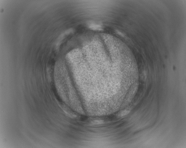 X0000076450658200610271825