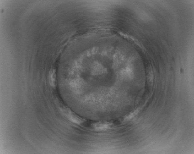 X0000076450661200610271825