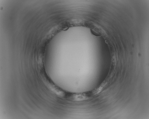 X0000076450662200610271825