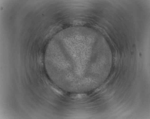 X0000076450663200610271825