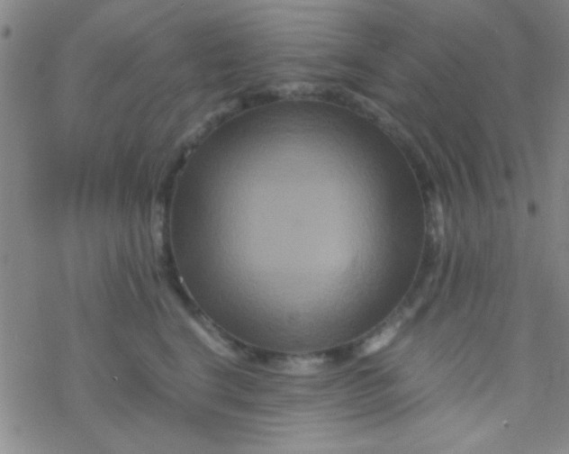 X0000076450664200610271825