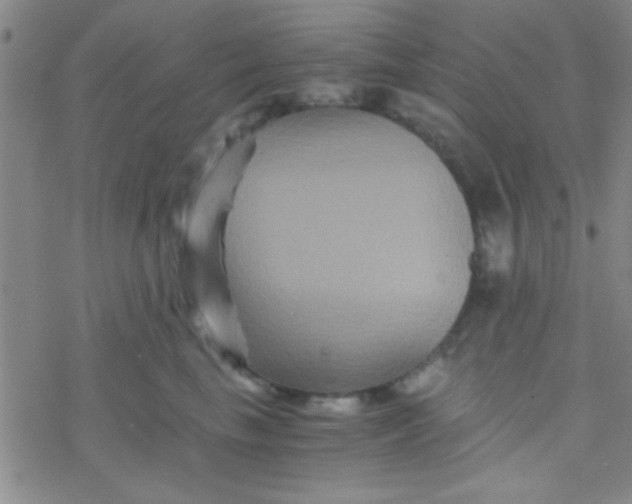 X0000076450665200610271825