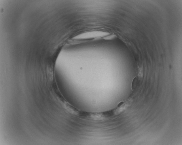 X0000076450666200610271825