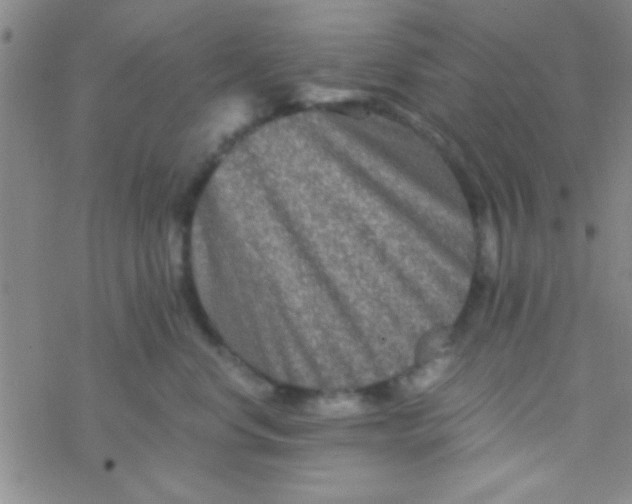 X0000076450668200610271825