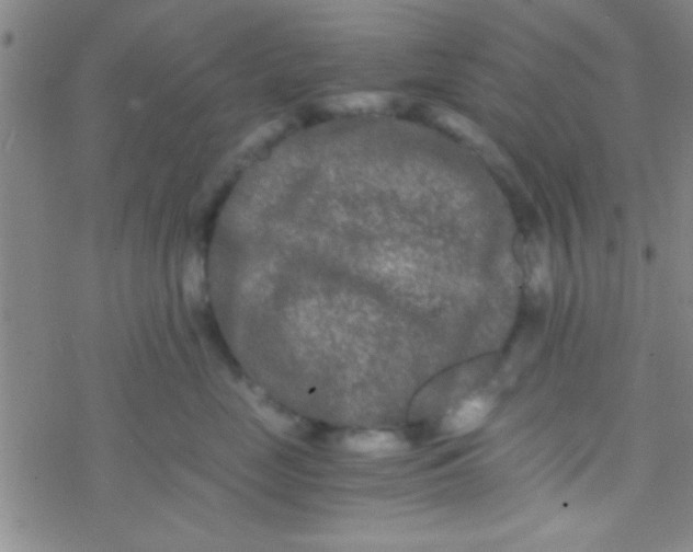 X0000076450669200610271825