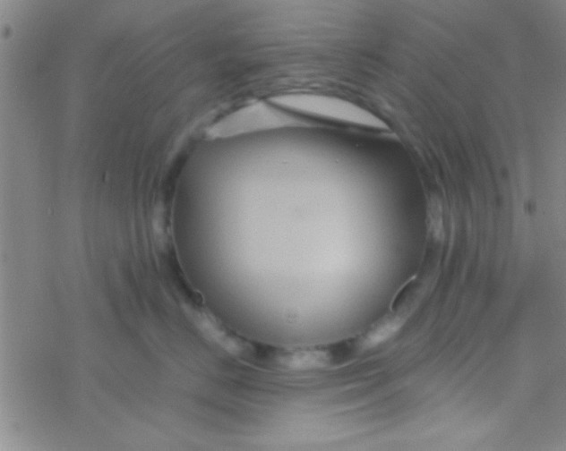 X0000076450670200610271825