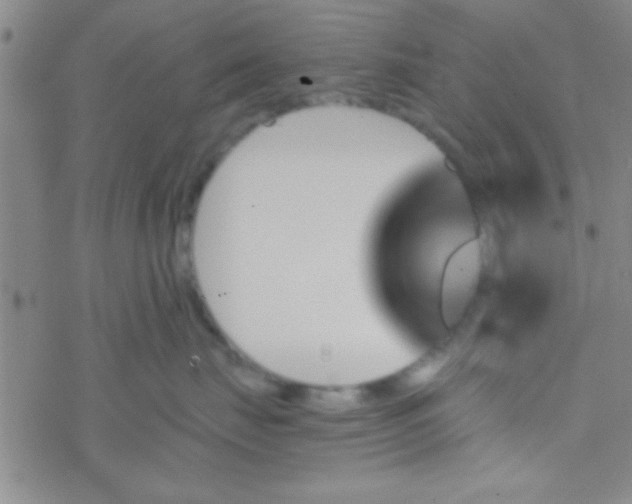 X0000076450671200610271825