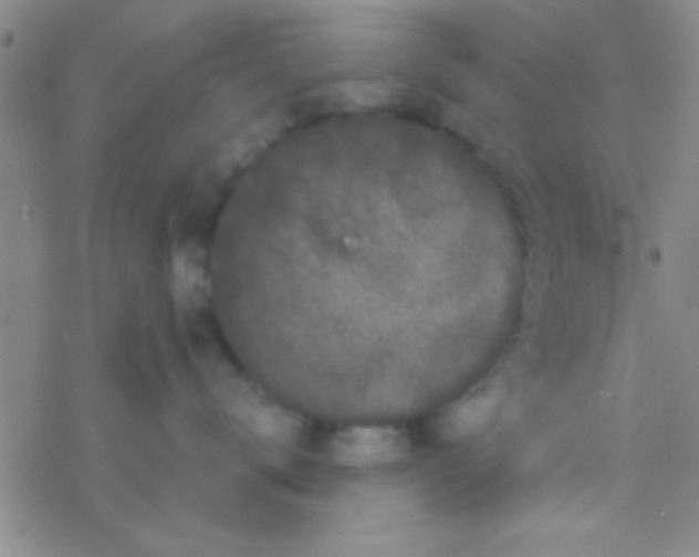 X0000076450672200610271825