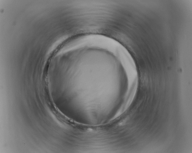 X0000076450674200610271825