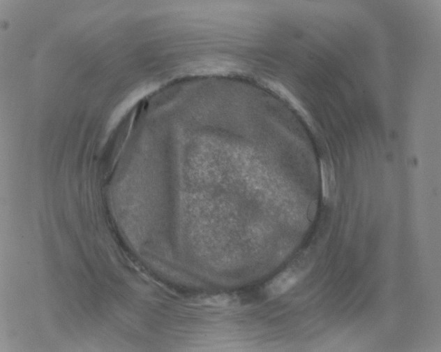 X0000076450675200610271824