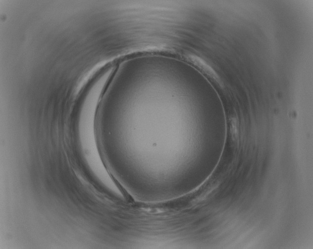 X0000076450676200610271824