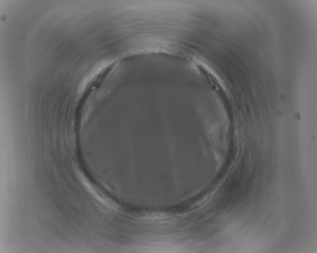 X0000076450677200610271824