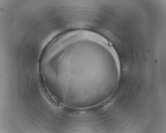 X0000076450678200610271824