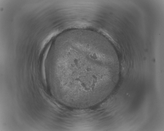 X0000076450679200610271824