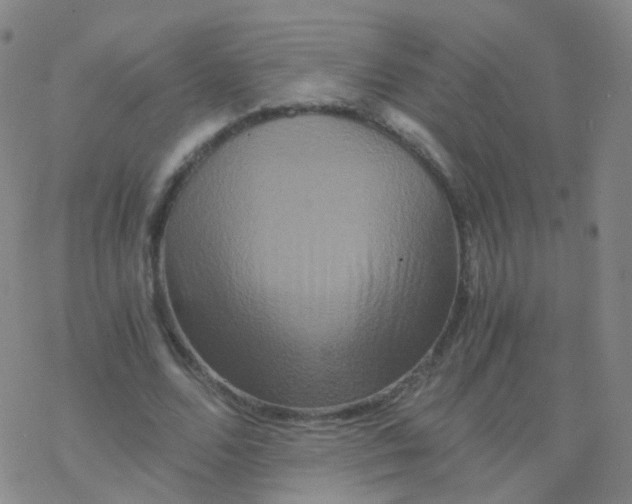 X0000076450680200610271824