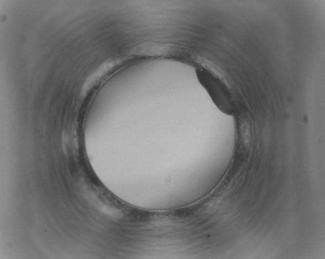 X0000076450682200610271824