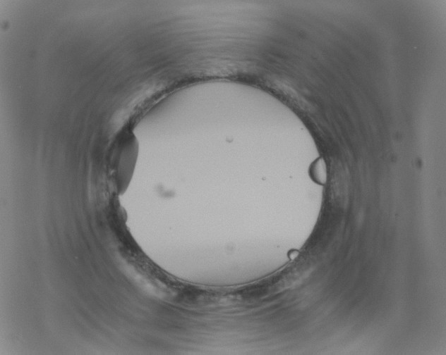 X0000076450683200610271824