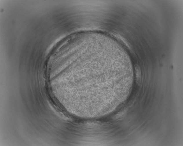 X0000076450684200610271824