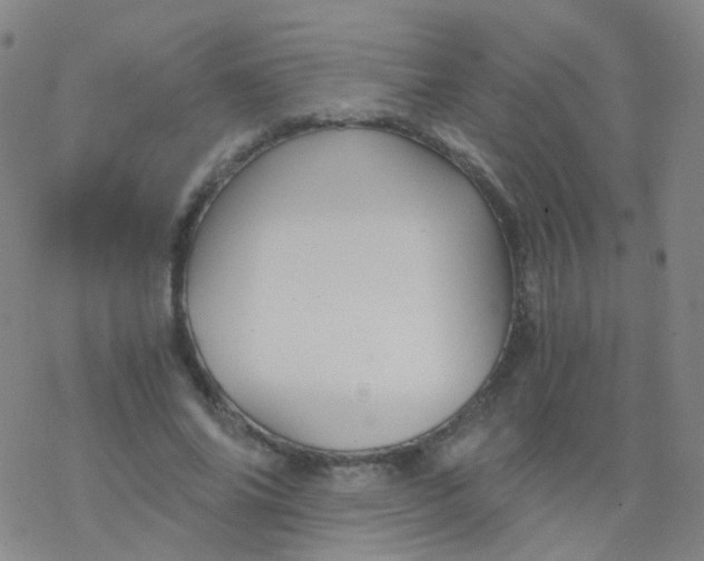 X0000076450686200610271824