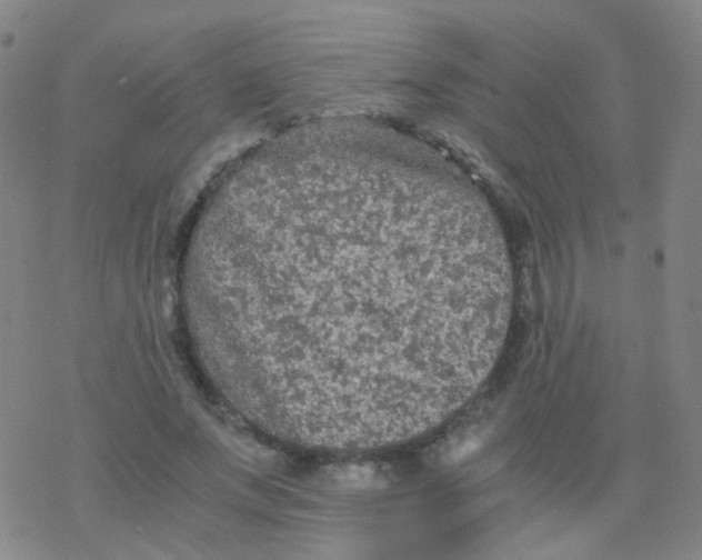 X0000076450687200610271824