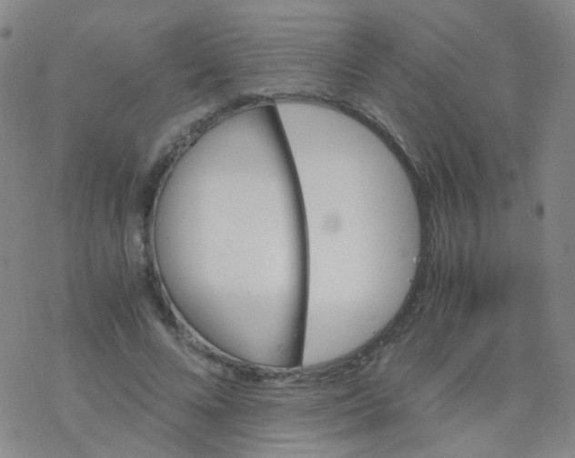 X0000076450688200610271824