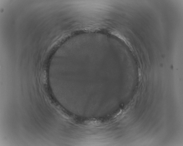 X0000076450689200610271824