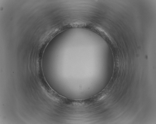 X0000076450690200610271824