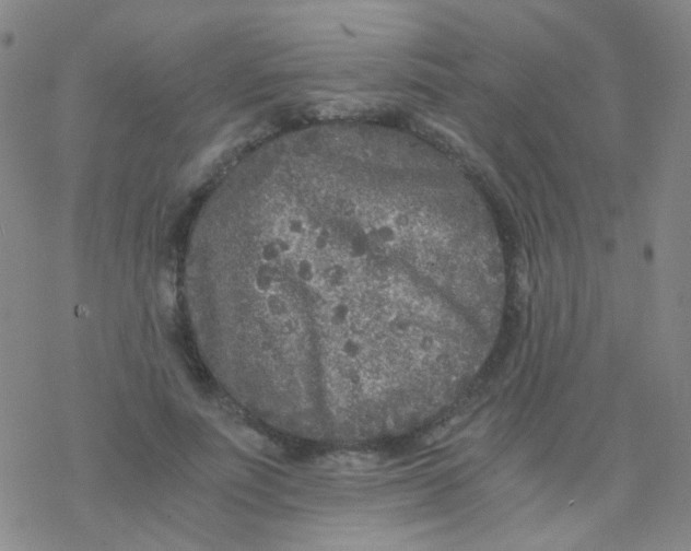 X0000076450691200610271824