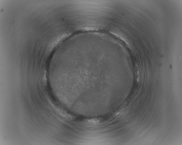 X0000076450692200610271824