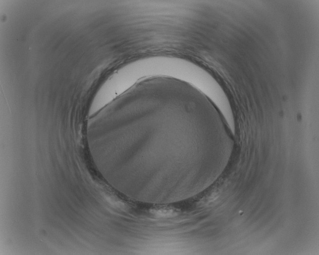 X0000076450693200610271824