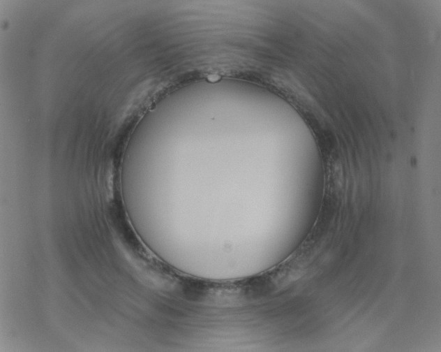 X0000076450694200610271824