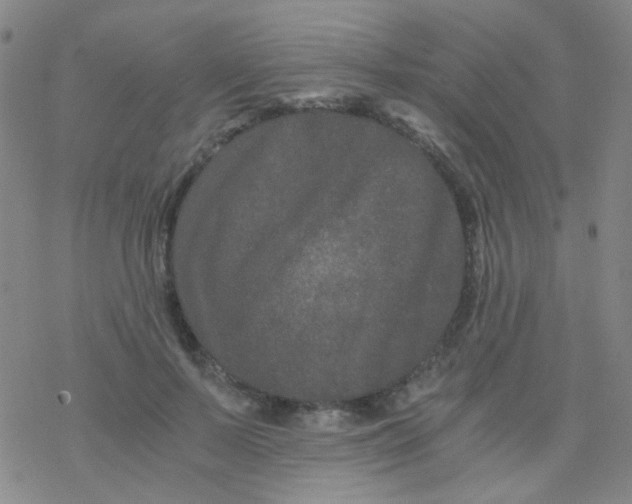 X0000076450695200610271824