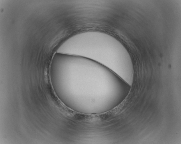 X0000076450696200610271824