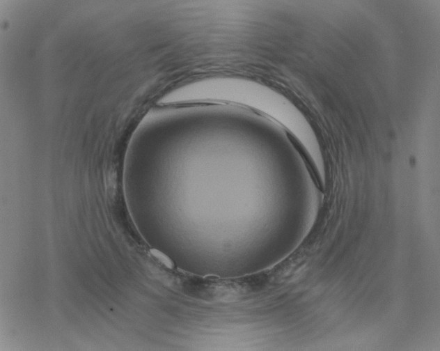 X0000076450697200610271824