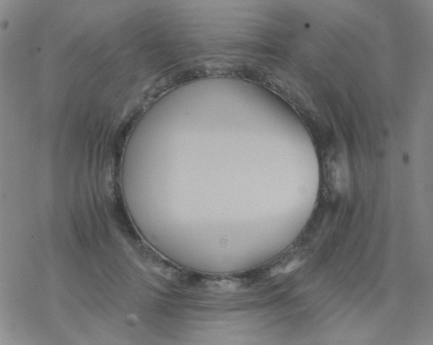 X0000076450698200610271824