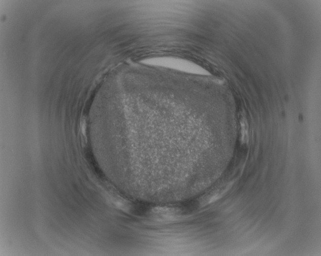 X0000076450699200610271824