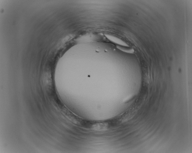 X0000076450700200610271824