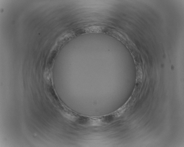 X0000076450701200610271824