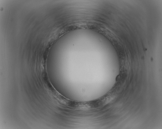 X0000076450702200610271824