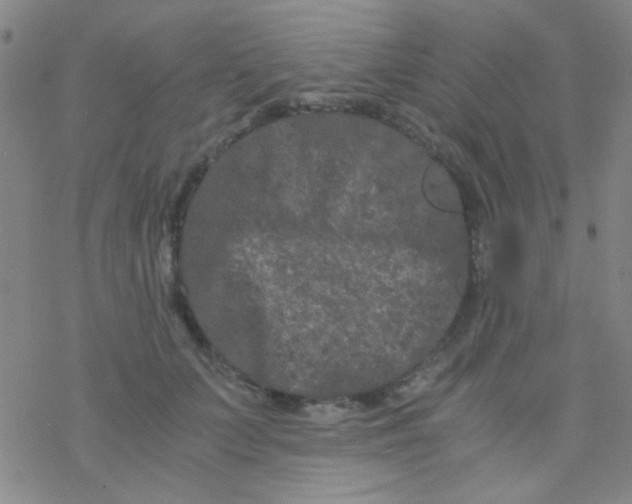 X0000076450703200610271824