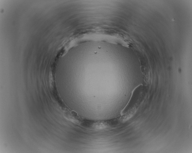 X0000076450704200610271824