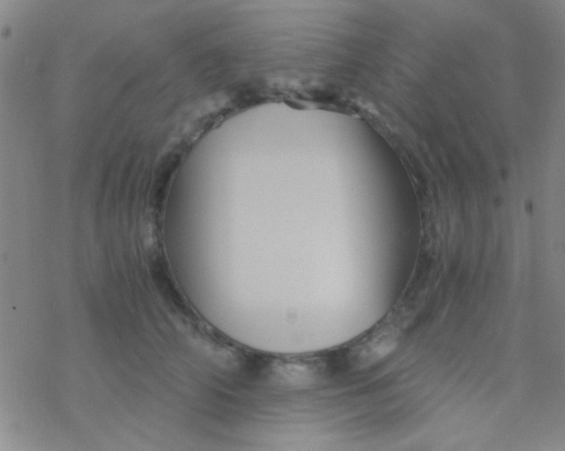 X0000076450706200610271824